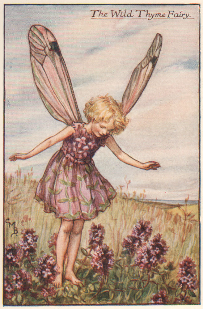 Wild Thyme Fairy by Cicely Mary Barker. Summer Flower Fairies c1935 old print